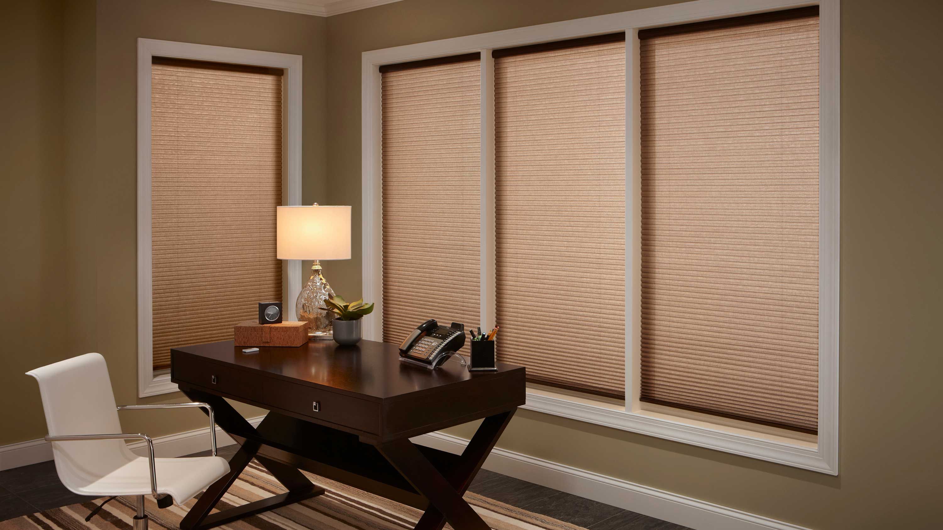 Home Office With Lutron Blinds